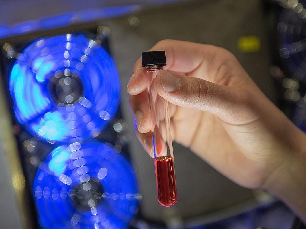 Probenröhrchen mit lichtaktiver Substanz.