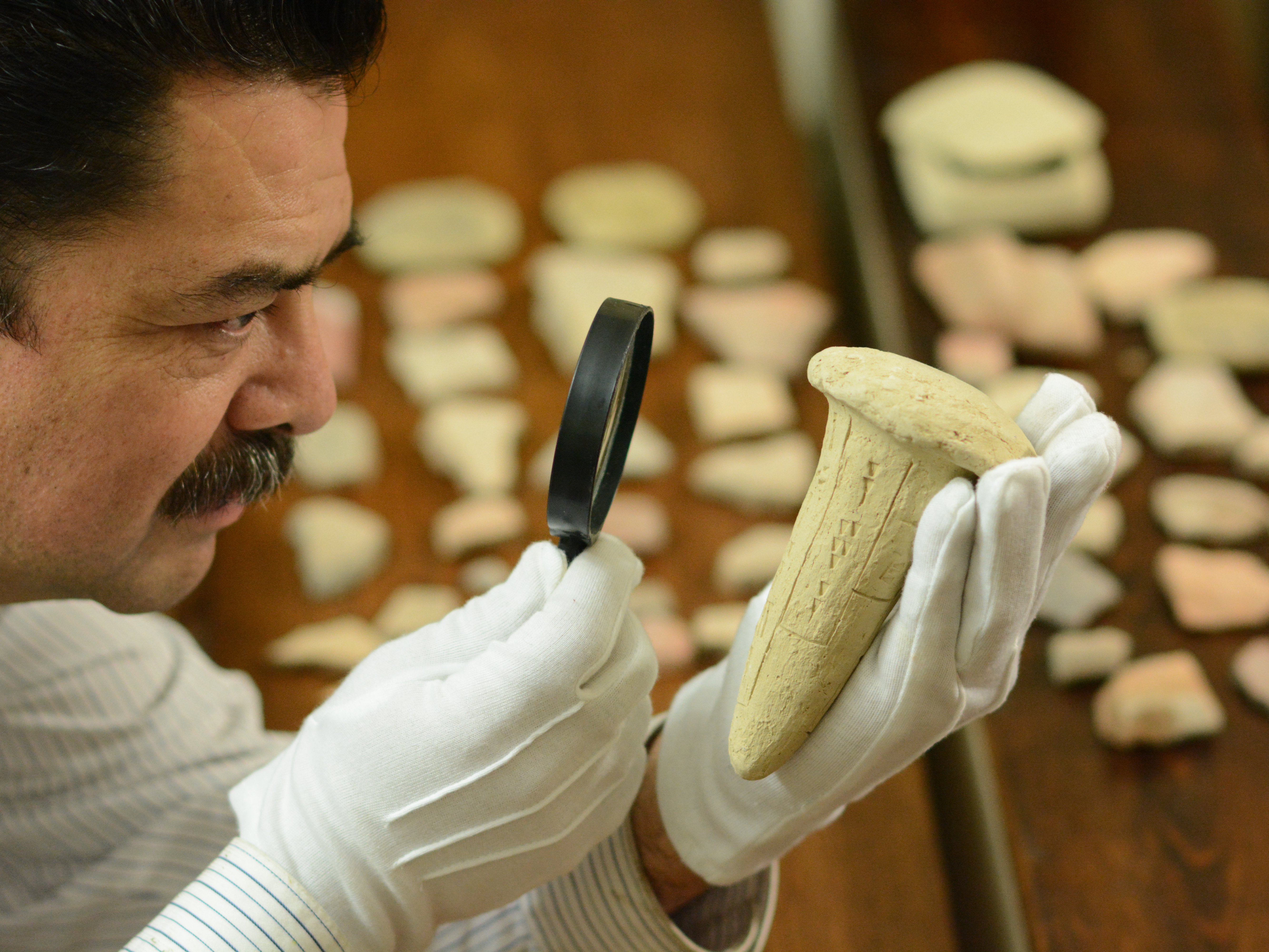 Wenn Fundstücke unter die Lupe genommen werden, sind auch Naturwissenschaftler und Naturwissenschaftlerinnen gefragt.