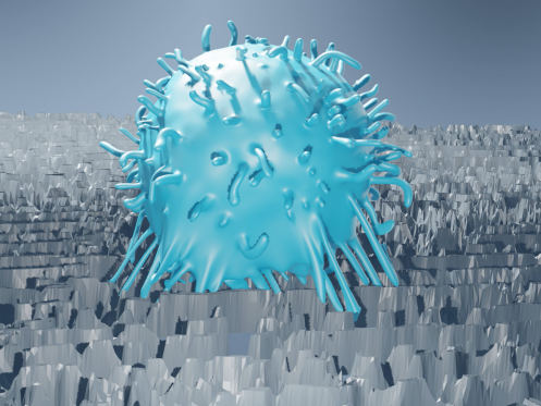 3-D-Animation einer B-Zelle auf anodisiertem Aluminiumoxid. Die Zellfortsätze (Mikrovilli) dringen in die Nanoporen der Oberfläche ein.