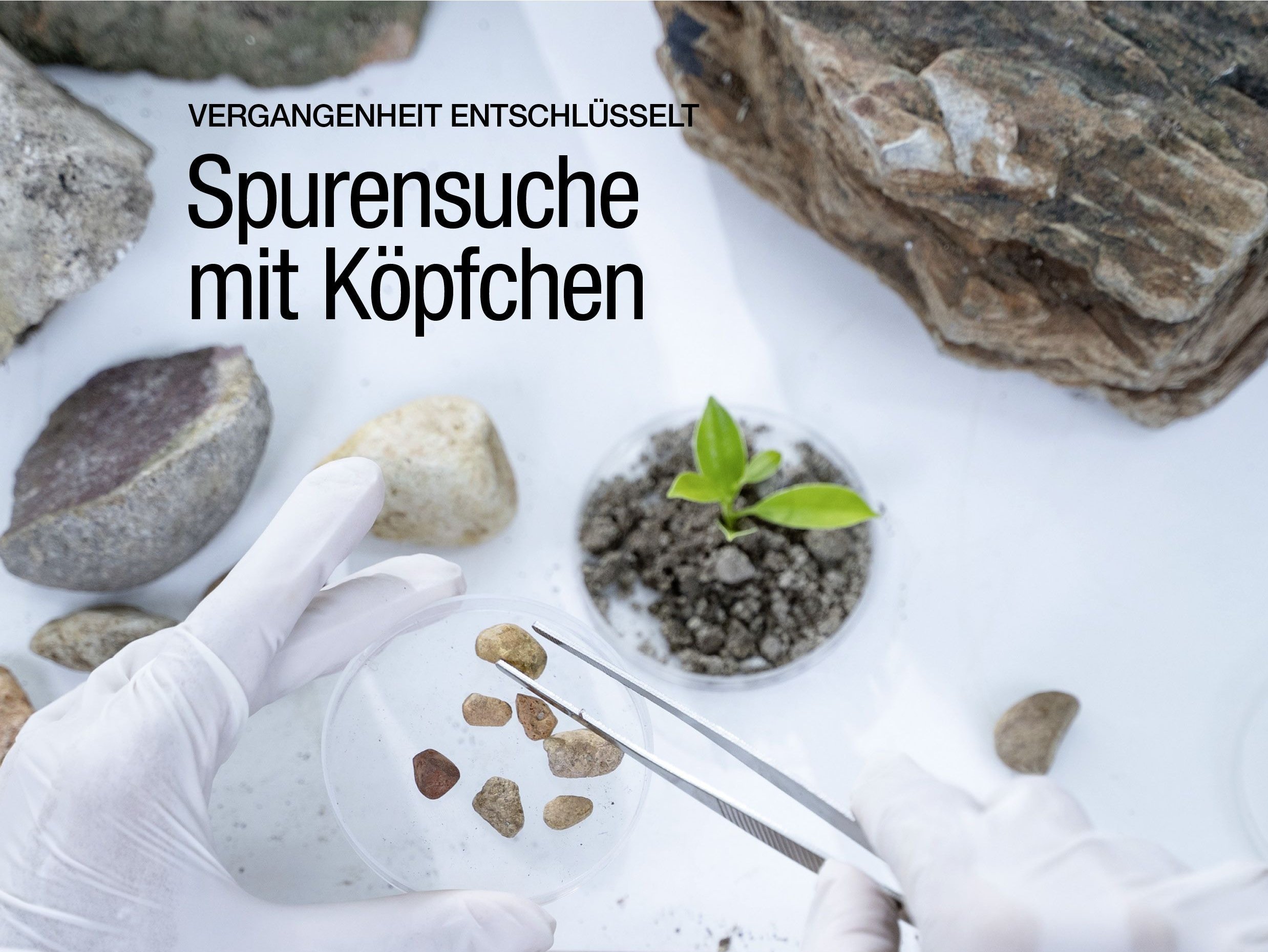 Cover des VAA Magazins April 2026: Auf dem Cover liegen Steine und kleine Fundstücke auf einer hellen Laborfläche. Zwei behandschuhte Hände sortieren Proben mit einer Pinzette. Ein kleiner grüner Pflanzenspross steht in einem runden Gefäß mit Erde. Darüber sind Magazinlogo, Ausgabeangaben und der Titel „Vergangenheit entschlüsselt: Spurensuche mit Köpfchen“ platziert.