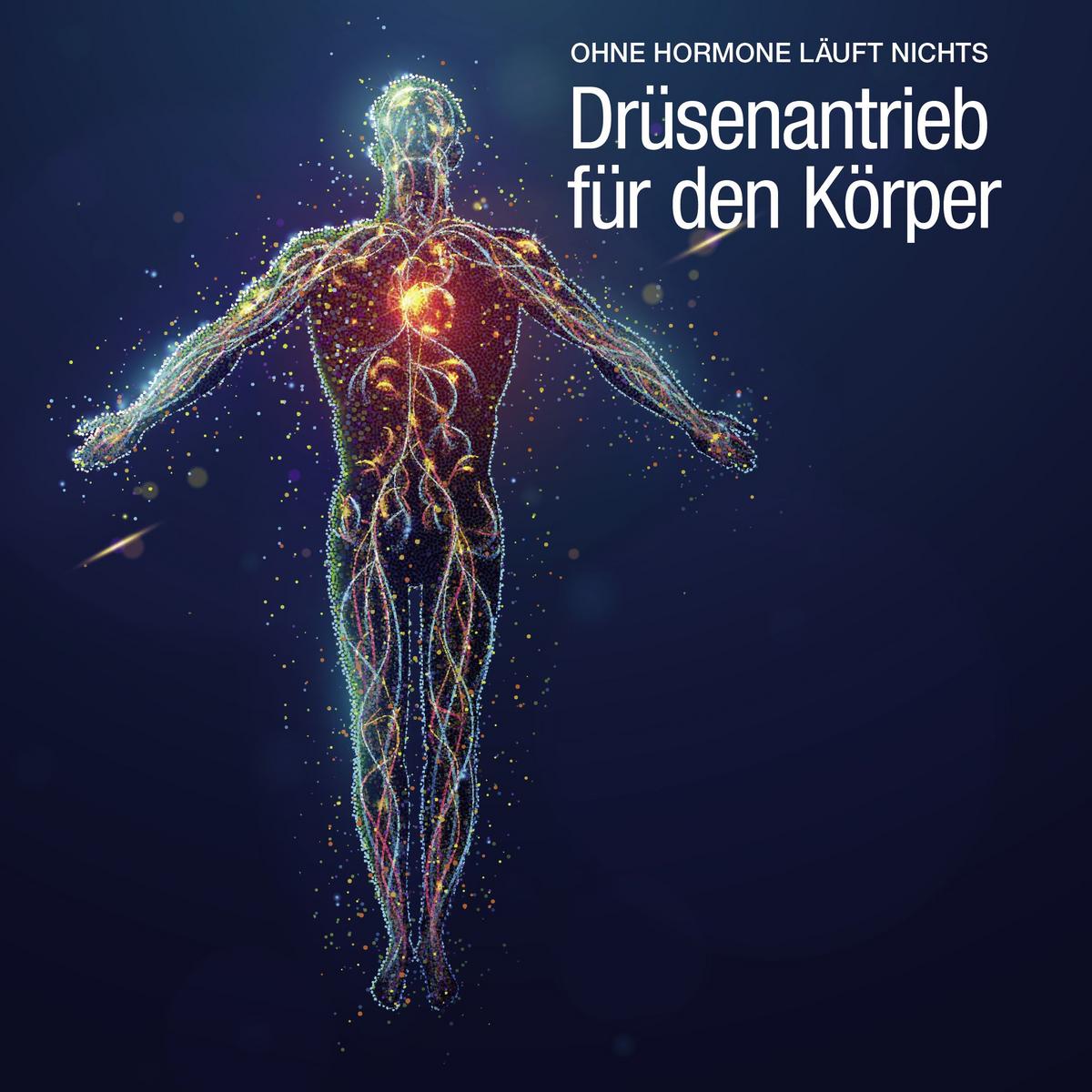 Artikel: News und Pressemitteilungen