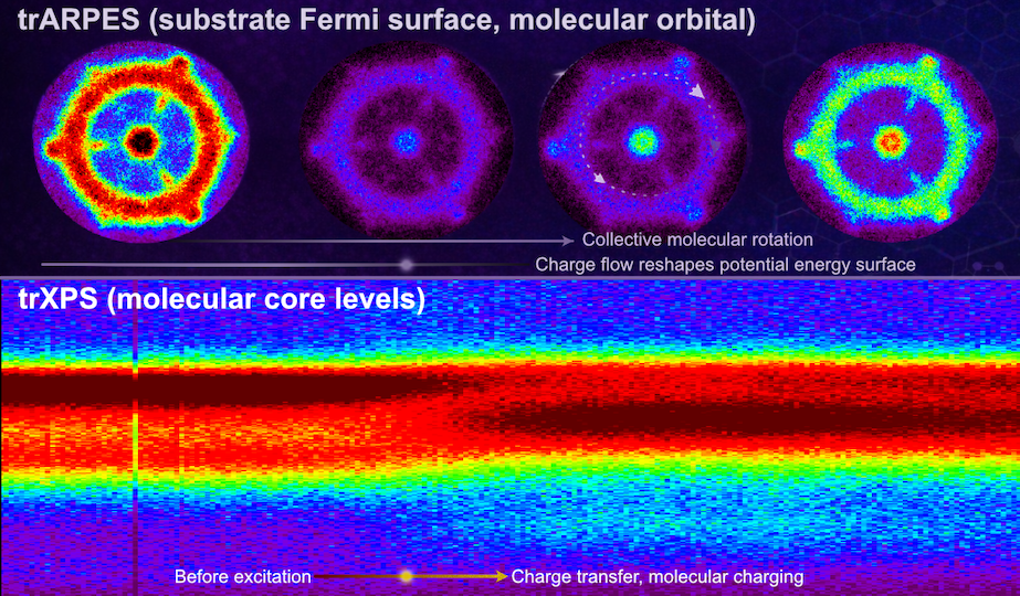 mpulsraum-Abbildungen der kreisförmigen Bewegung eines Molekülorbitals und der elektronischen Bandstruktur des 2D-Quantenmaterials. Der lichtinduzierte Ladungsfluss zwischen Substrat und Molekülen verändert die Potenzialenergie an der Grenzfläche und treibt die kollektive Molekülrotation an. Die Pfeile zeigen die korrelierte Gegenrotation benachbarter Moleküle innerhalb der dicht gepackten Molekülschicht. Unten: Zeitaufgelöste Röntgen-Photoemission zeigt den Ladungstransfer und die vorübergehende Aufladung von etwa 45% der Moleküle nach optischer Anregung. Die Messungen wurden mittels ultraschneller Impulsmikroskopie am DESY-Freie-Elektronen-Laser FLASH durchgeführt.