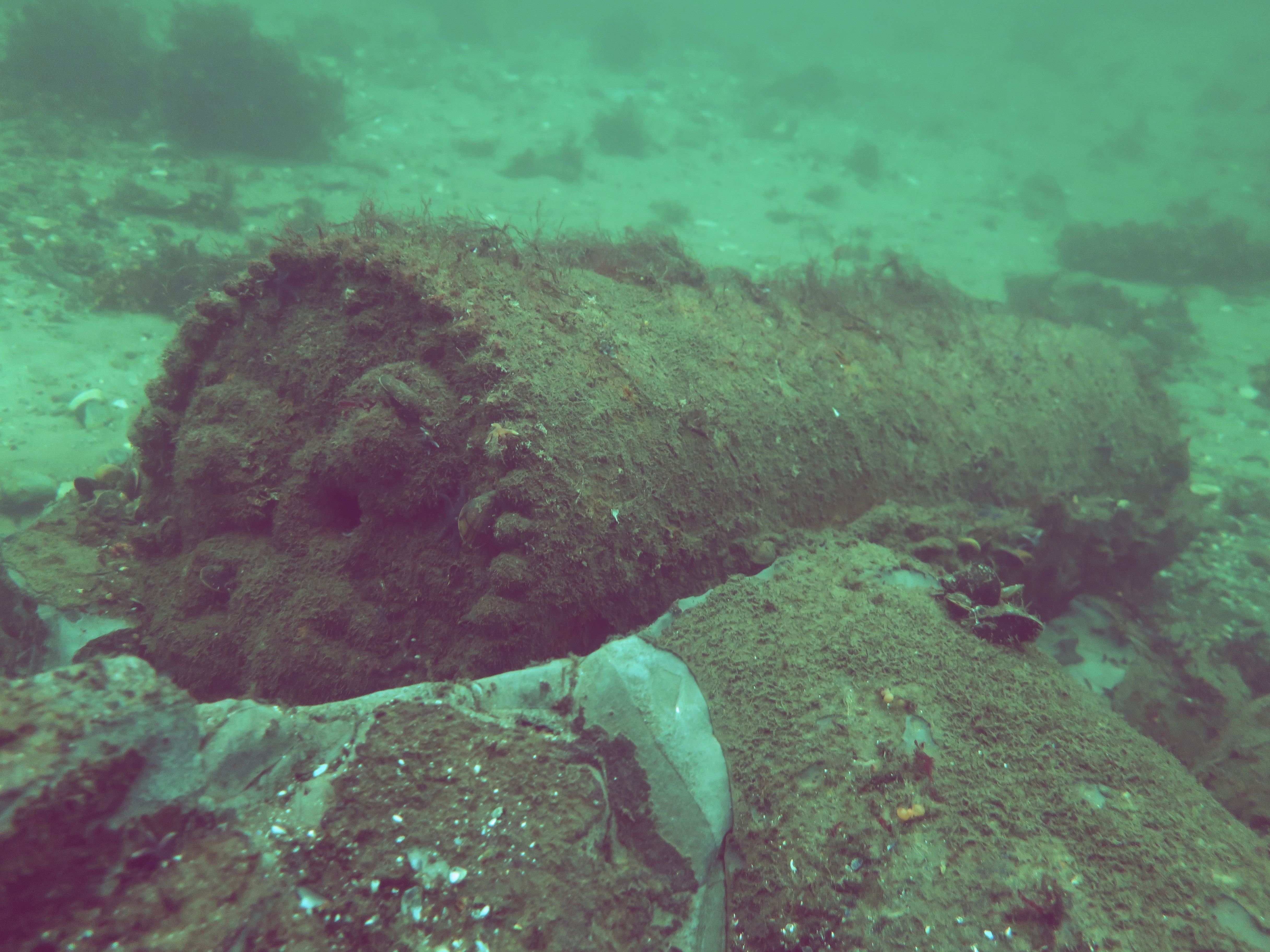 Weltkriegsmunition am Meeresboden der Ostsee