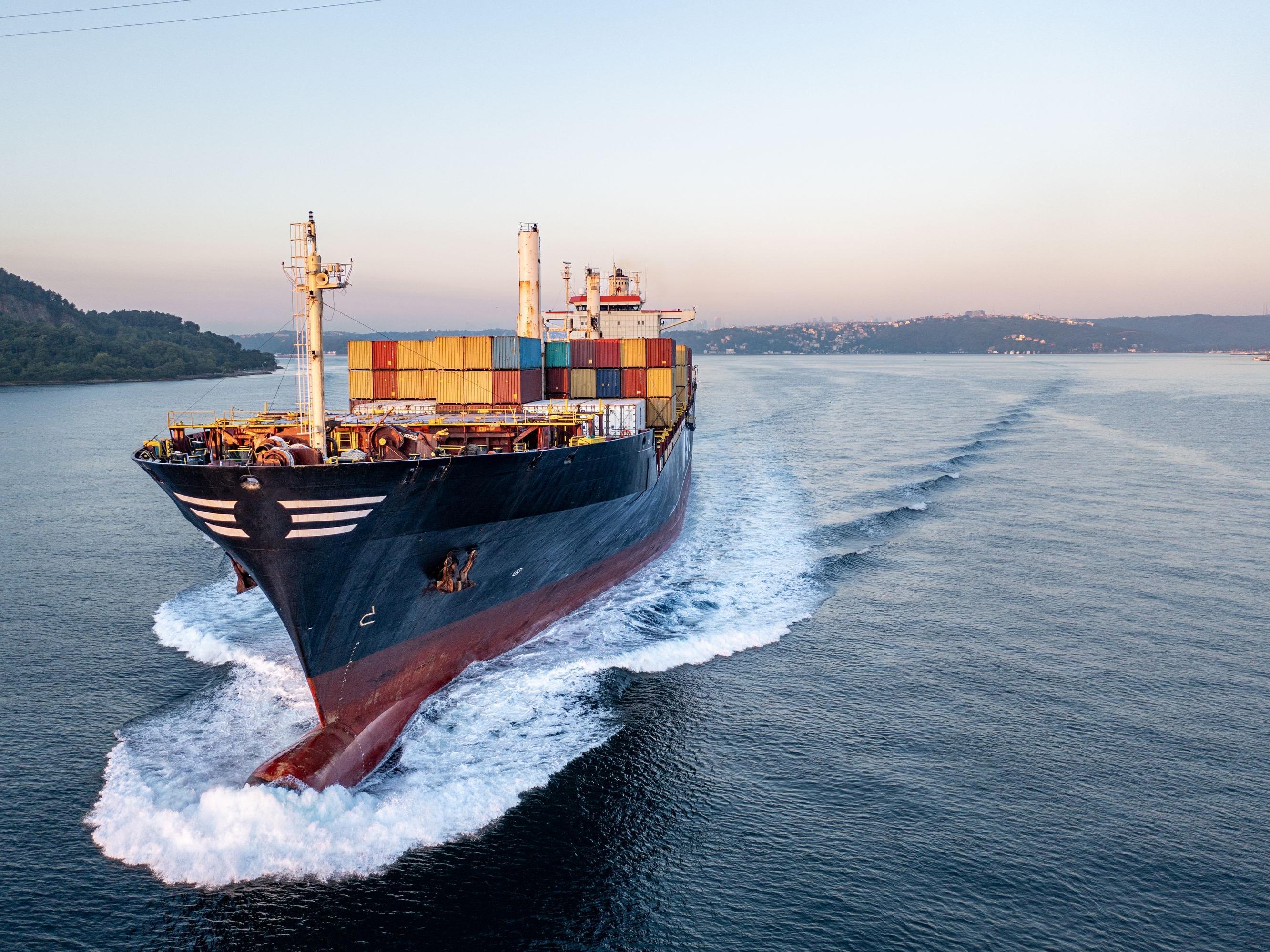Großes Containerschiff in einer Meerenge oder einem Fjord.