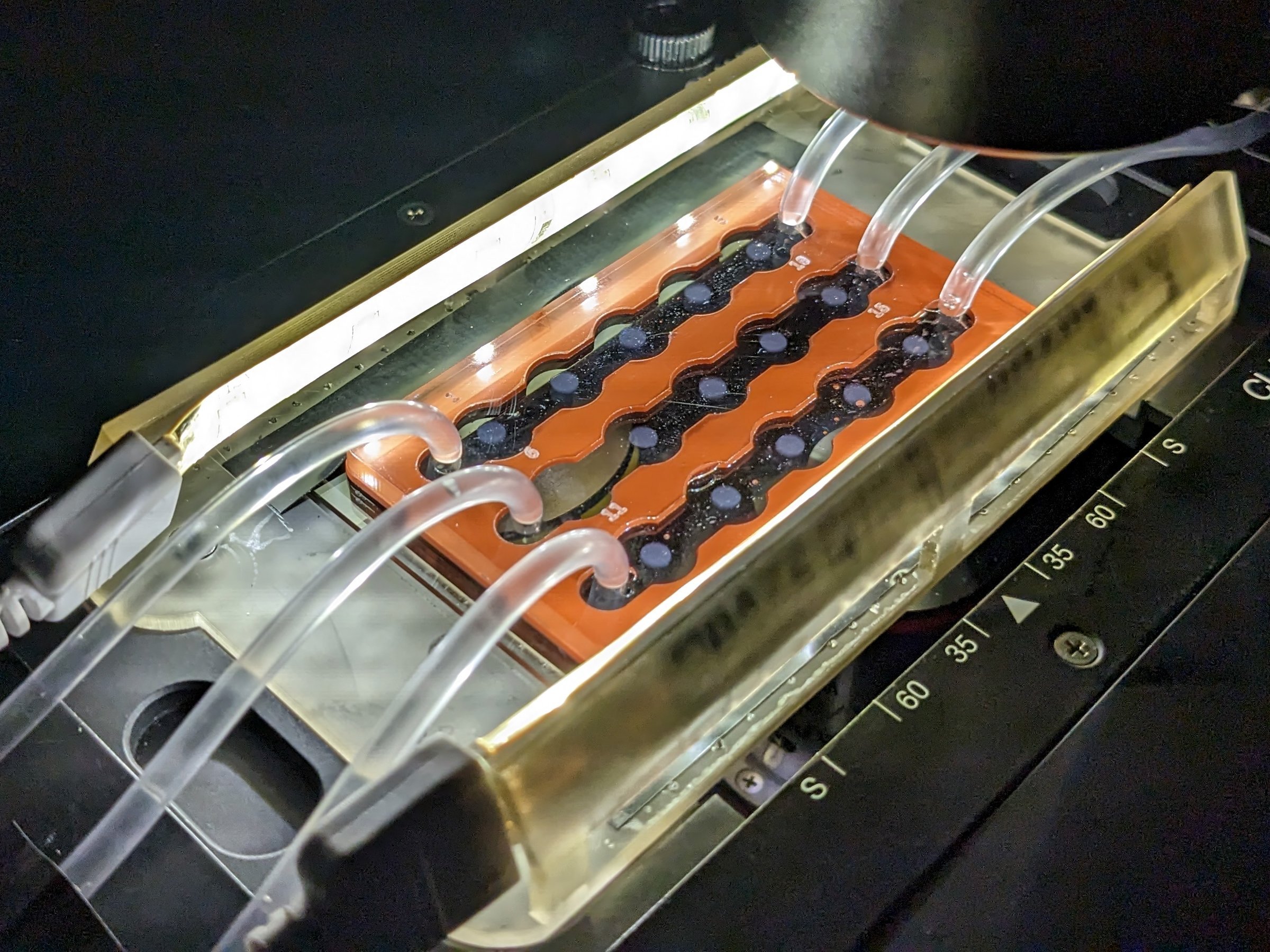 Forscher haben ein mikrofluidisches System zur Untersuchung von sinkendem Meeresschnee entwickelt, das hier auf einem Mikroskop abgebildet ist.