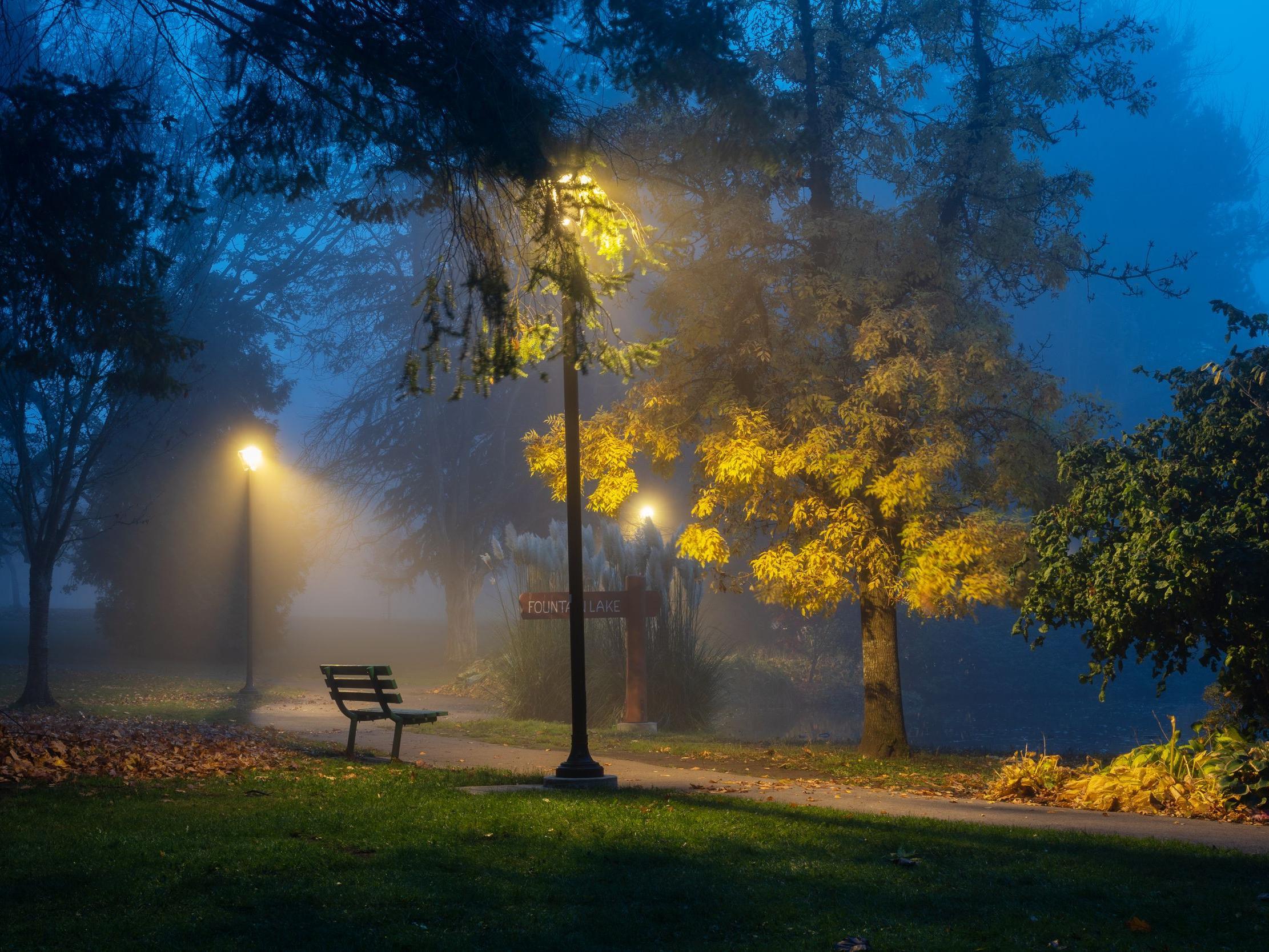 Blick auf einen Parkweg in der Nacht mit warm leuchtenden Laternen.